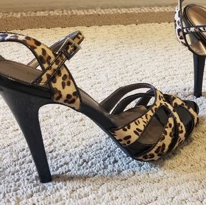 Final sale!! Preview International leopard